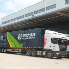 大專線車隊(duì)